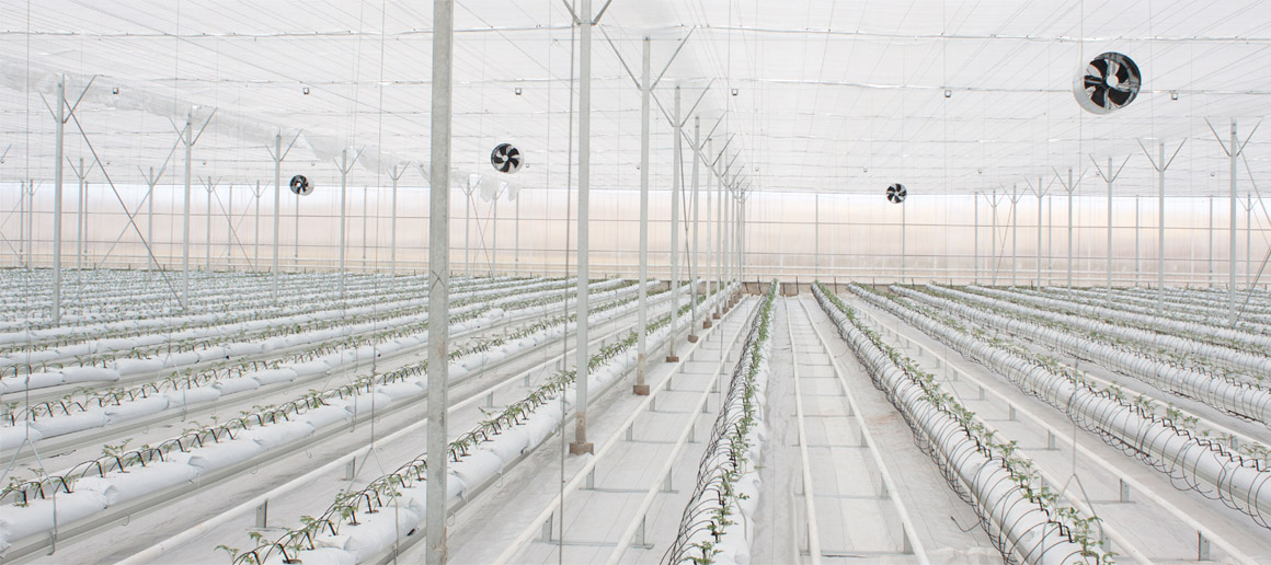Serateknik - Greenhouse Solutions | Isı Perdesi Sistemi Gölgelendirme